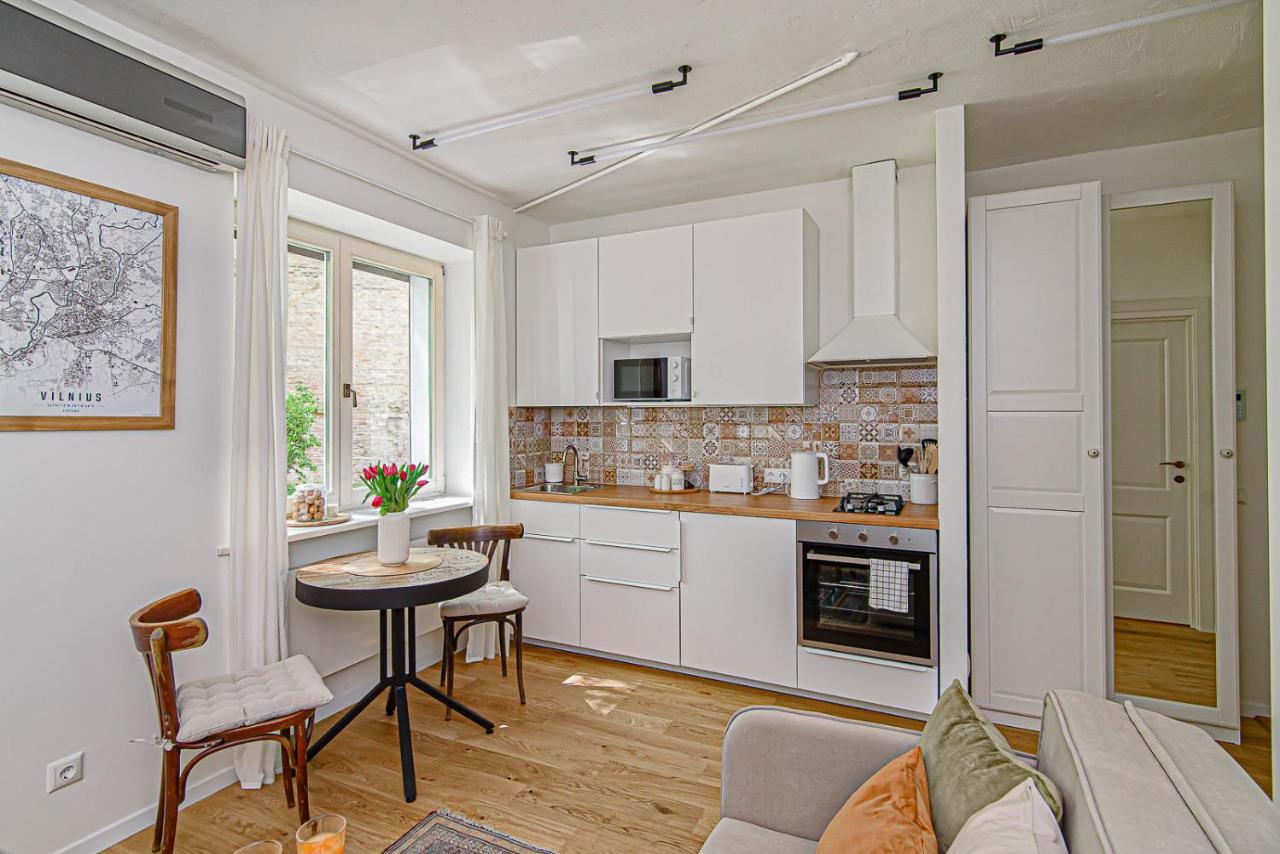 Cozy Studio In The Heart Of Vilnius Old Town Kültér fotó