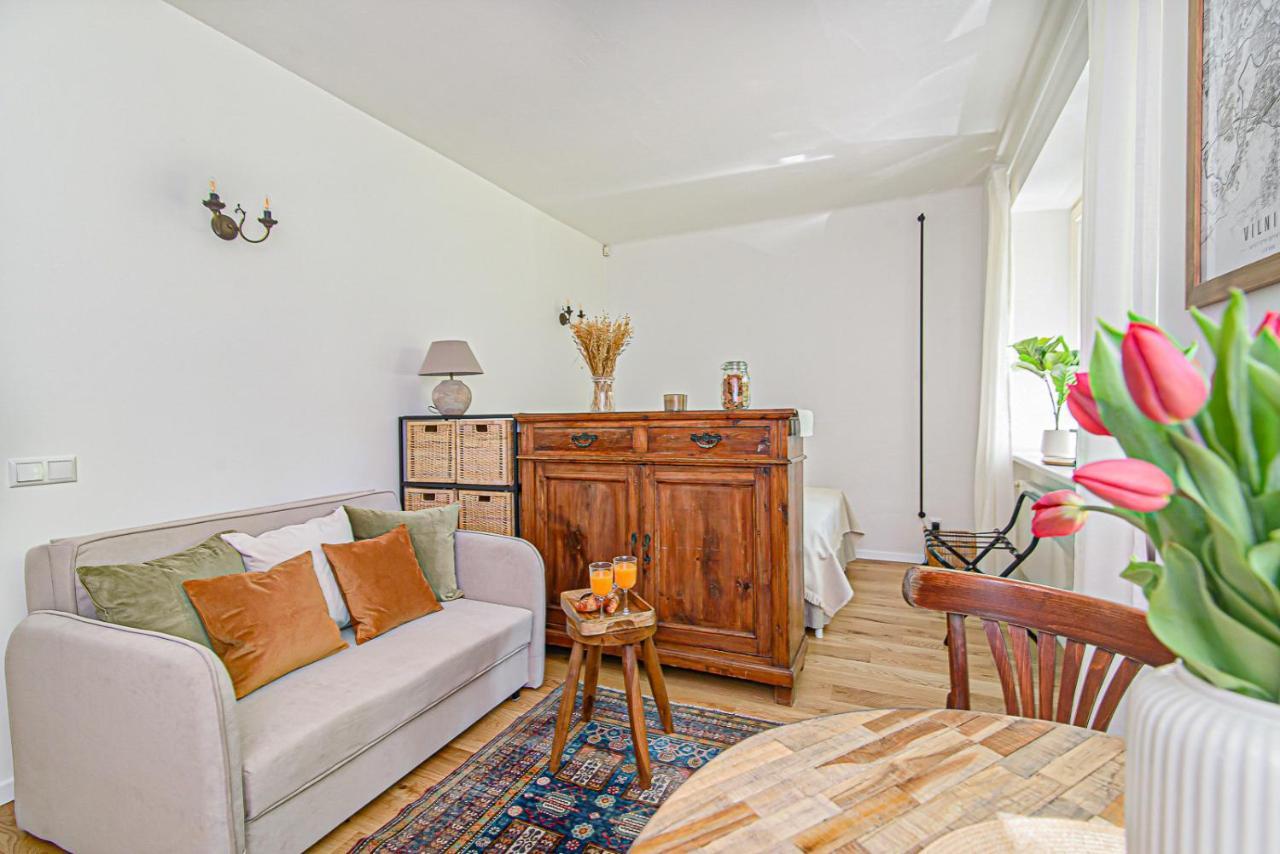 Cozy Studio In The Heart Of Vilnius Old Town Kültér fotó